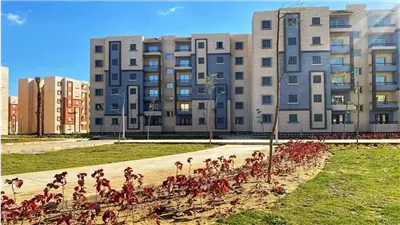 تفعيل منصة مصر العقارية تأخر.. غرفة التطوير العقاري تحذر الحكومة 