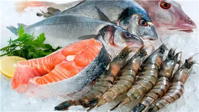 أسعار الأسماك والمأكولات البحرية اليوم الجمعة 19 سبتمبر 2025