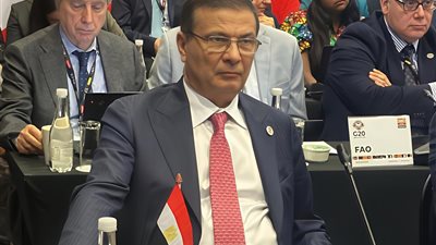 وزير الزراعة: مصر تقدر اهتمام مجموعة العشرين بقضايا ارتفاع أسعار الغذاء واستقرار الأسواق