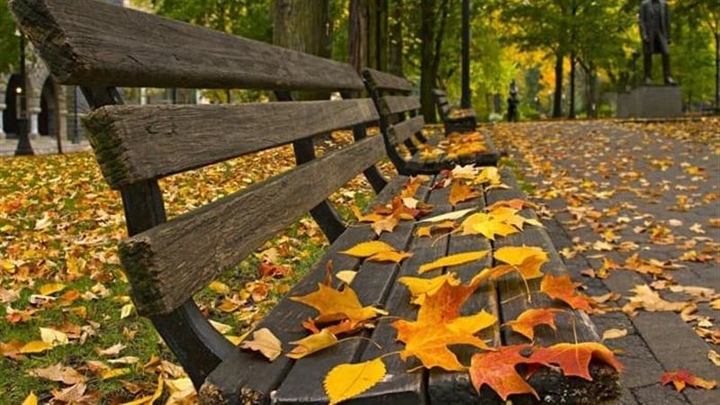 ساعات تفصلنا على