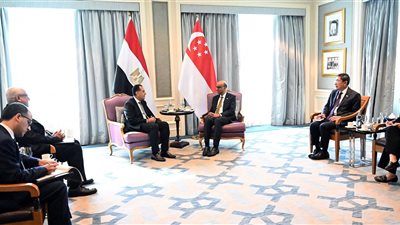 بالصور، تفاصيل لقاء رئيس جمهورية سنغافورة مع الدكتور مصطفى مدبولي 