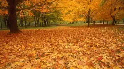 موعد بدء فصل الخريف في مصر 2025، الأرصاد تكشف توقعات الطقس والأمطار