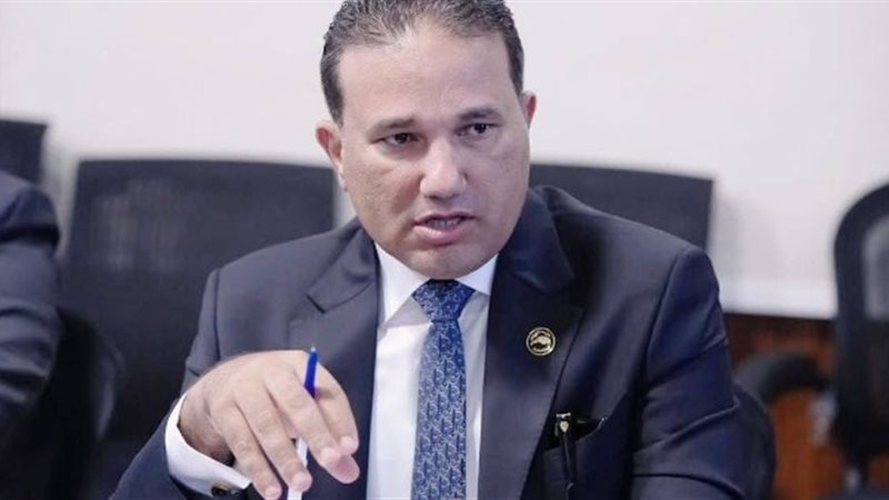 النائب تامر عبد
