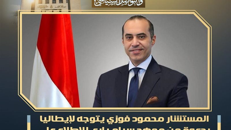 المستشار محمود فوزي،
