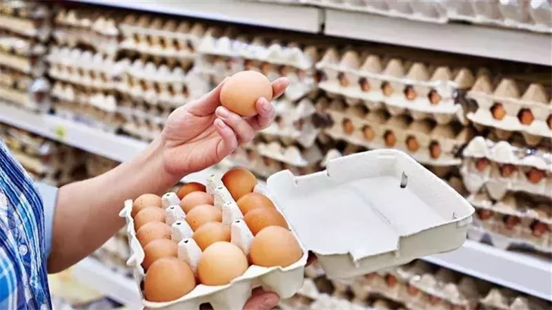 أسعار البيض اليوم