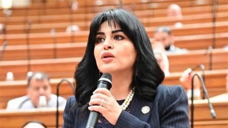 النائبة هند رشاد،