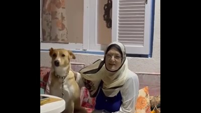 بتمحك فيها، شمس البارودي تظهر مع كلبة لسبب غريب جدًا (شاهد بالفيديو)