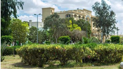 قصر العيني والعباسية والدمرداش، صروح نفسية لعلاج المواطنين بالمجان