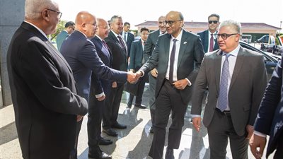 وليد جمال الدين: زيارة الرئيس السنغافوري فرصة لبحث التعاون في المجالات ذات الاهتمام المشترك