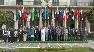 مصر تقود الحوكمة الرقمية وتحدد الإطار العربي للذكاء الاصطناعي