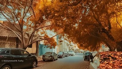 في حب الخريف، موسم بداية العلاقات ونهايتها