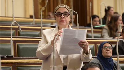 برلمانية تهاجم وزير السياحة بعد سرقة الأسورة الذهبية: غير متخصص في مجاله 