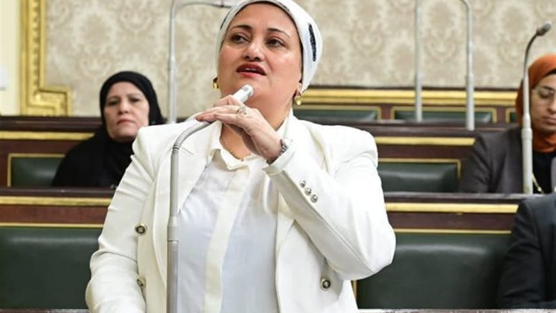 النائبة سناء السعيد،