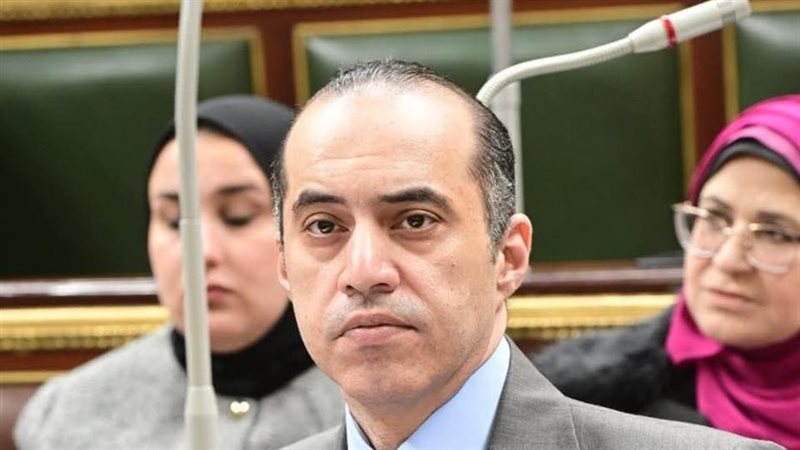 المستشار محمود فوزي،