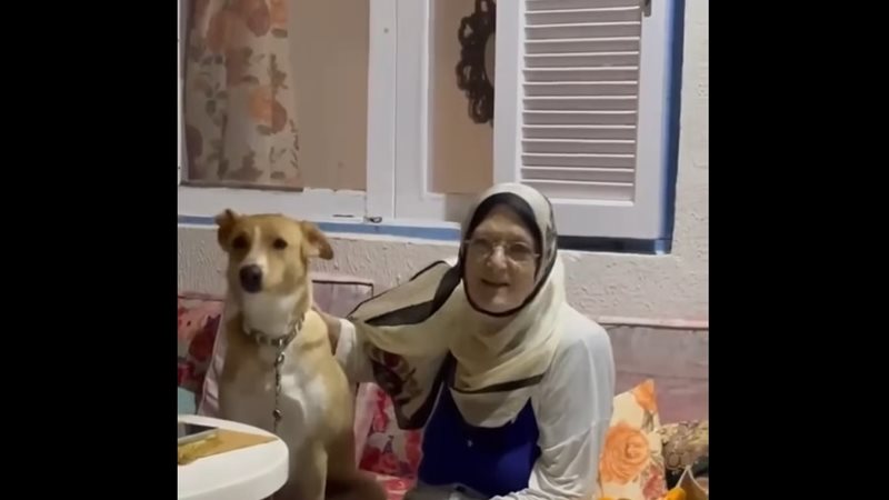 شمس البارودي