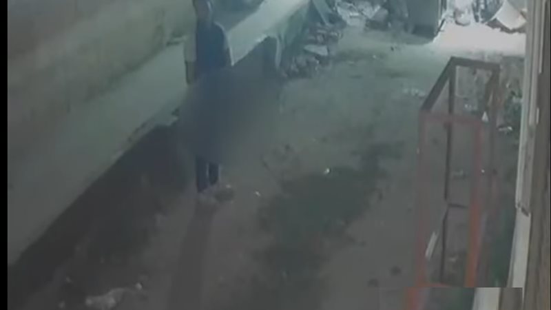 فعل مخل بالدقهلية