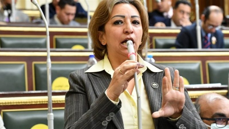 النائبة مها عبد الناصر،