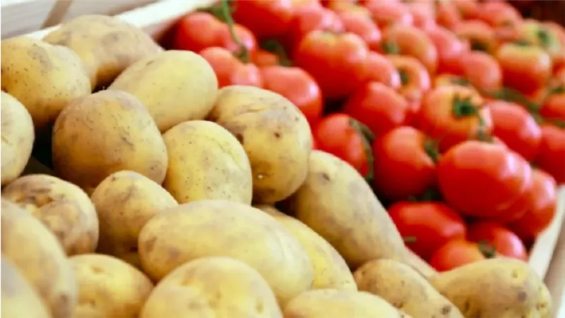 سبب ارتفاع سعر الطماطم
