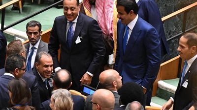 فرحة مدبولي وعبدالعاطي، صورة بالأمم المتحدة تكشف دور مصر في دعم القضية الفلسطينية