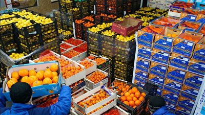 علاء فاروق: نستهدف 12 مليار دولار من الصادرات الزراعية هذا العام