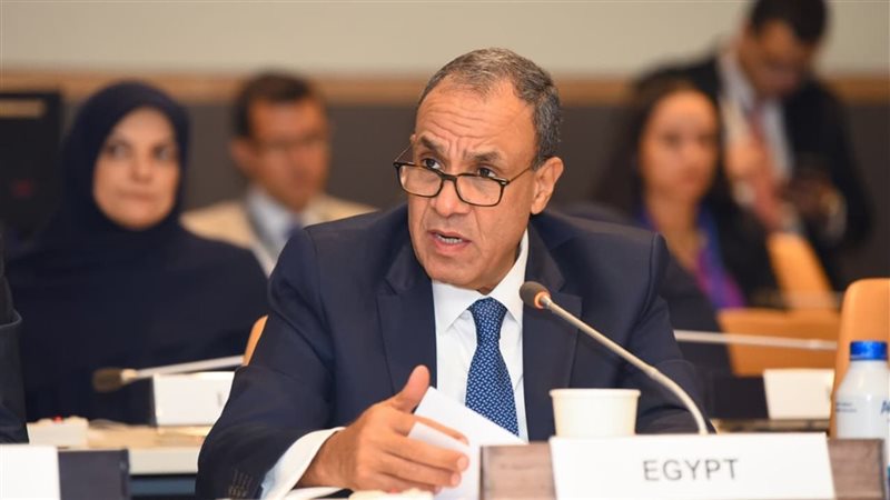 وزير الخارجية يشارك