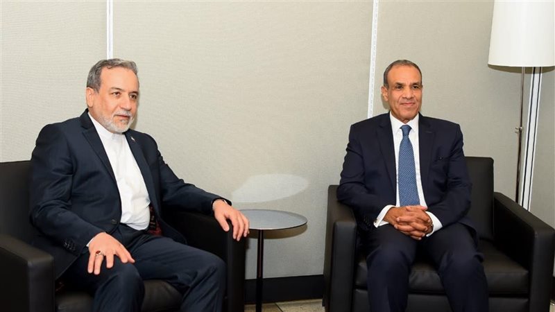 وزير الخارجية يلتقي