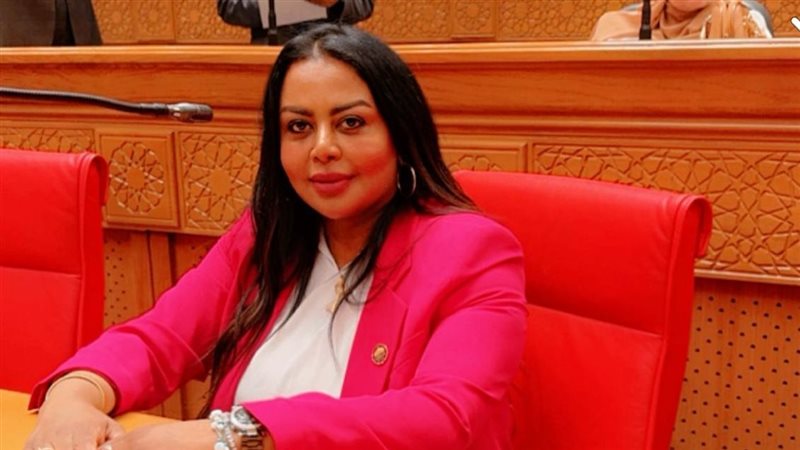 النائبة نيفين حمدي،