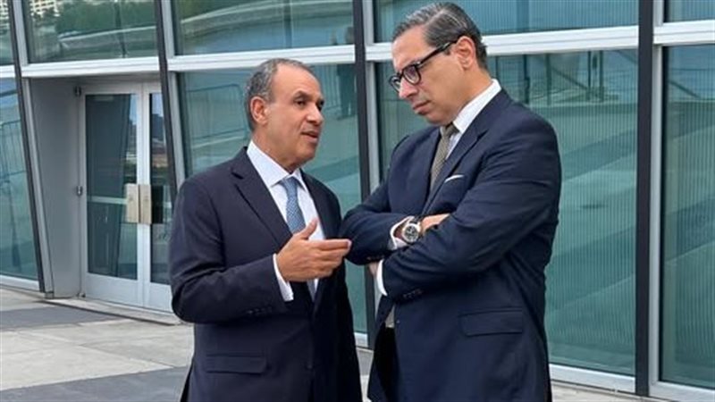 وزير الخارجية يلتقى