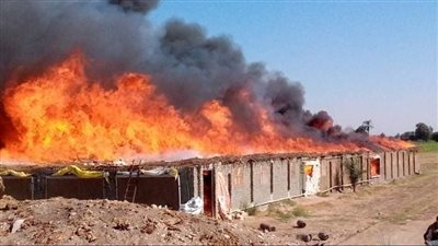 نفوق عدد من الدواجن في حريق التهم مزرعة بمدينة 6 أكتوبر 