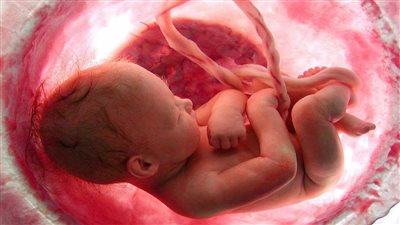  3 أمراض خطيرة تصيب الحامل وتؤثر على الجنين منها التهاب الكبد B 