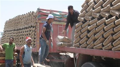 هل سيرتفع سعر الاسمنت بنهاية 2025؟، رئيس شعبة مواد البناء يكشف مفاجأة 