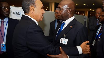 وزير الخارجية يؤكد تشجيع مصر للقطاع الخاص للاستثمار في السوق الأنجولي