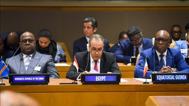 وزير الخارجية المصري