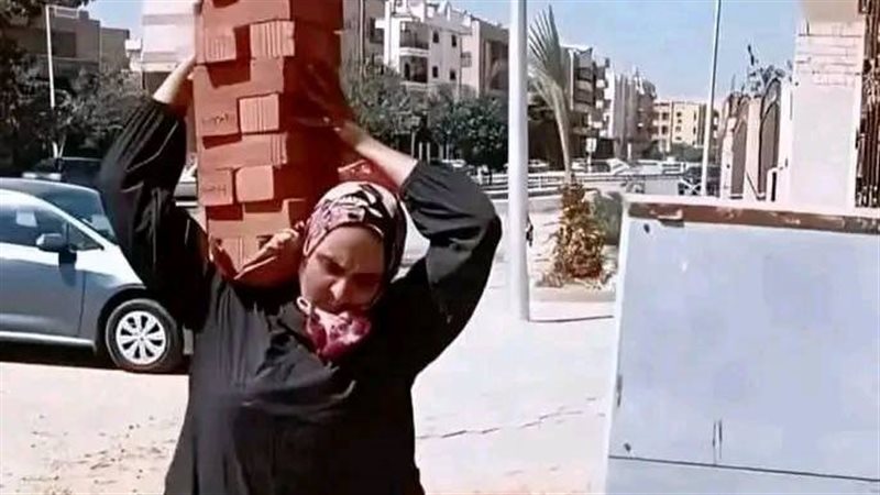 شغل السيدات في شيل