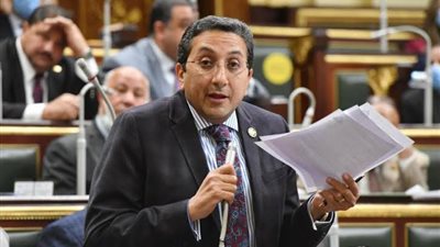 تحقيقا لمطالب المحامين، برلماني يقترح تعديل المادة 105 من قانون الإجراءات الجنائية