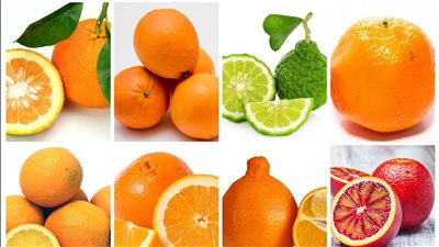 أيهما أفضل أكل البرتقال أم عصيره، الفوائد والقيمة الغذائية