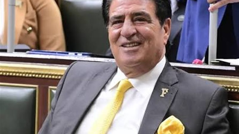 النائب أحمد فؤاد