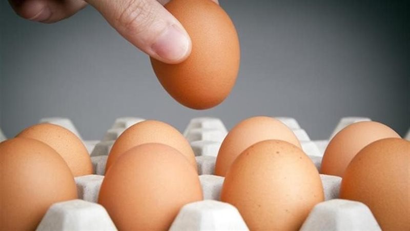 لماذا ارتفع سعر طبق