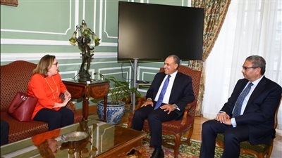 وزير الخارجية يلتقي مدير القوة متعددة الجنسيات بسيناء .. التفاصيل