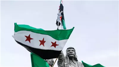 أول رد رسمي من سوريا بشأن مظاهرات المسجد الأموي المسيئة لمصر