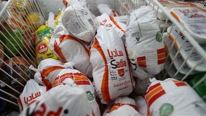 الايام المصرية