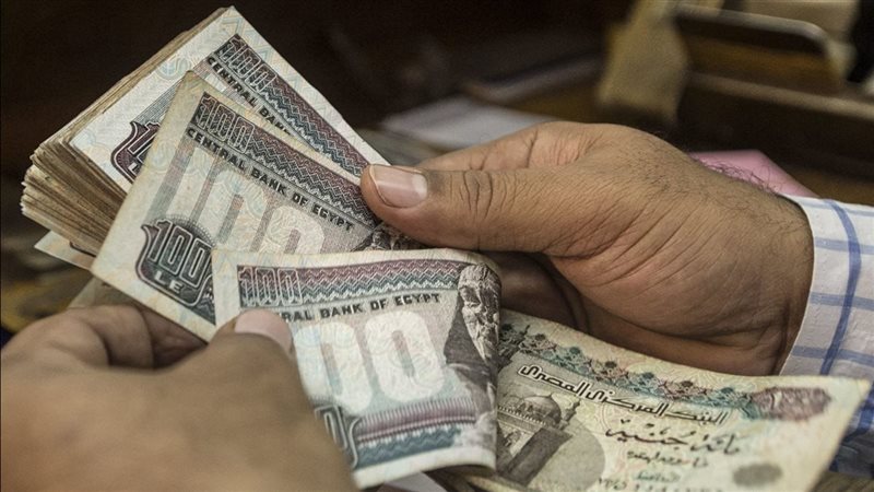 زيادة المعاشات شهر