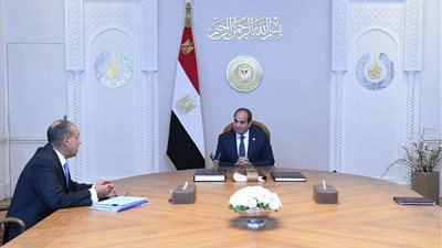 الرئيس السيسي يتابع مع وزير الخارجية نتائج المشاركة بالجمعية العامة للأمم المتحدة