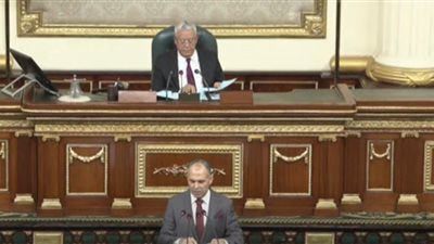 البرلمان يوافق علي الإبقاء على عضوية مكاتب اللجان النوعية بدور الانعقاد السادس 