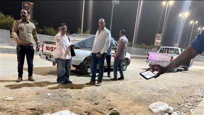 أول تعليق من محافظة الجيزة بشأن واقعة نفوق كلاب ضالة بحدائق الأهرام