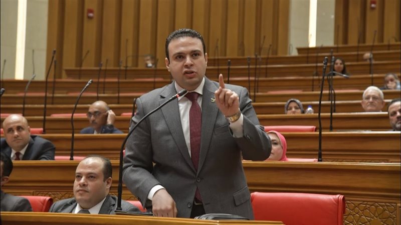النائب عبد المنعم