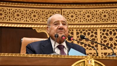 رئيس مجلس الشيوخ: الرئيس السيسي رفع راية مصر وأعاد مكانتها الإقليمية 