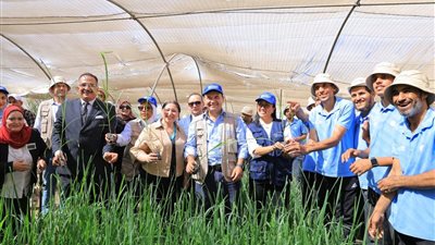 التضامن تتابع تنفيذ مشروع تحسين الوضع الاجتماعي والاقتصادي والأمن الغذائي بالمنيا (صور)