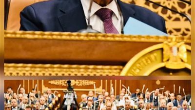 رئيس الشيوخ يشيد بجهود الحكومة ويصف ممثلها بالبرلمان بالمخلص