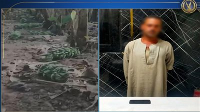 بالفيديو، استغاثة موظف بالجيزة تكشف عن مزارع يفرض إتاوات ويتاجر في المخدرات